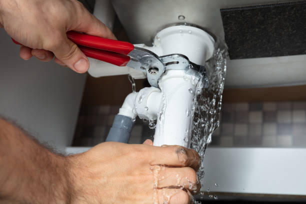 Best Professional water damage repair  in Stockbridge, MI
