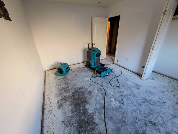 Best Flood restoration services  in Stockbridge, MI