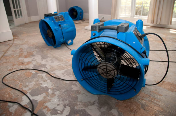 Best Water damage restoration near me  in Stockbridge, MI