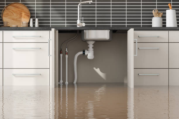 Best Local water damage restoration  in Stockbridge, MI