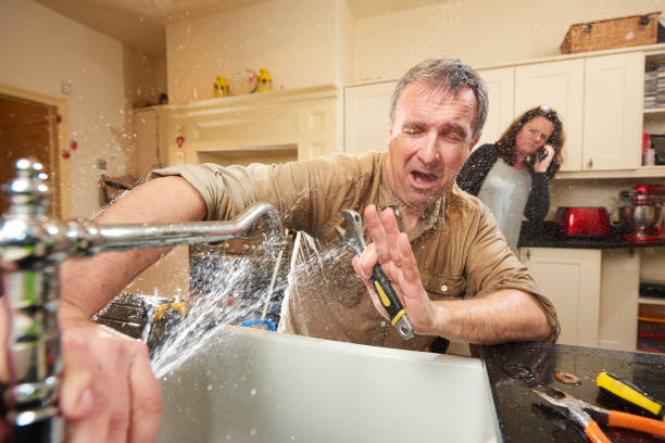 Best Flood damage cleanup  in Stockbridge, MI